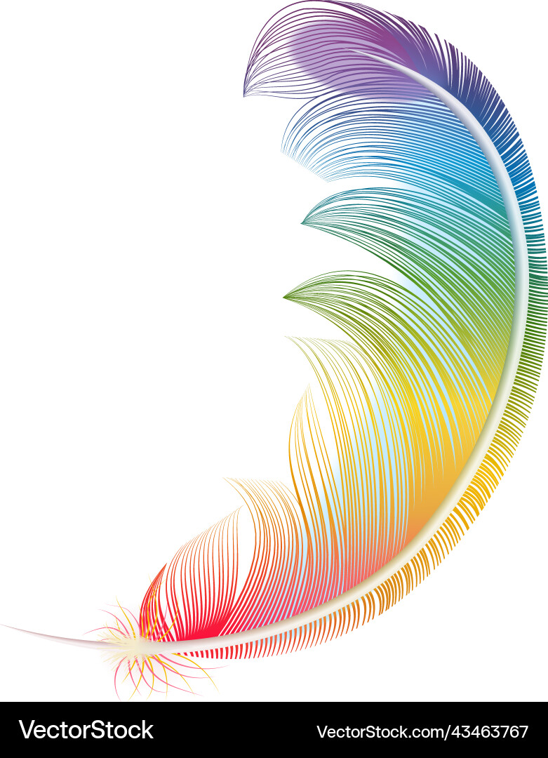 Rainbow colored feather composition vector image