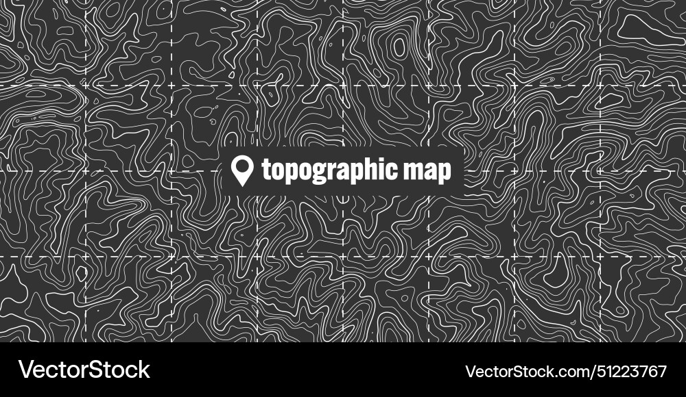 Topographic map with contour lines geographic Vector Image