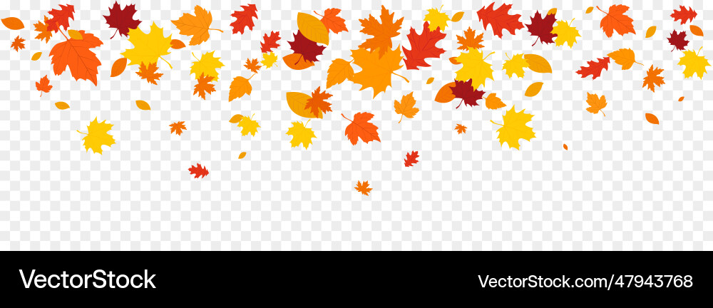 Autumn falling leaves isolated vector image