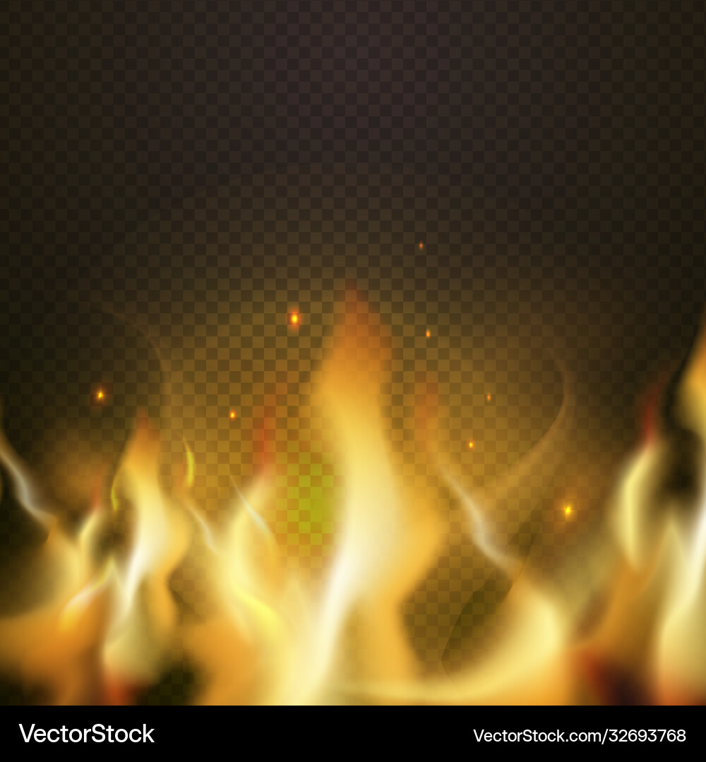 Realistic fire border orange flame tongue Vector Image
