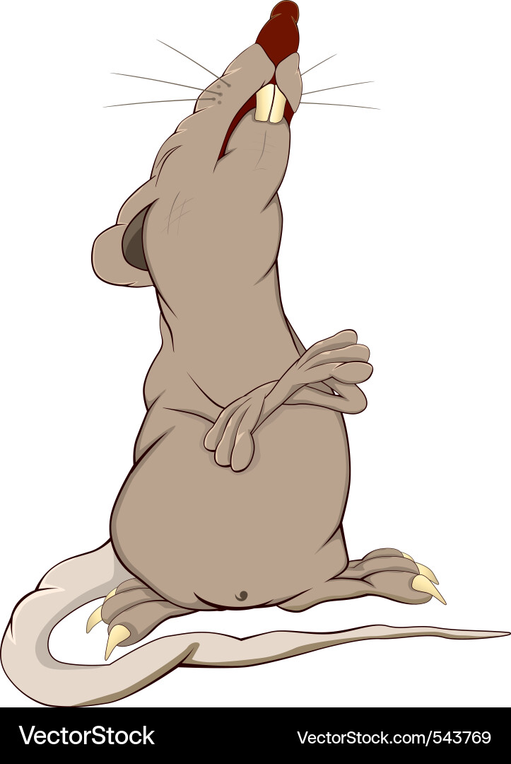 Cartoon Rat Portrait Vector Image