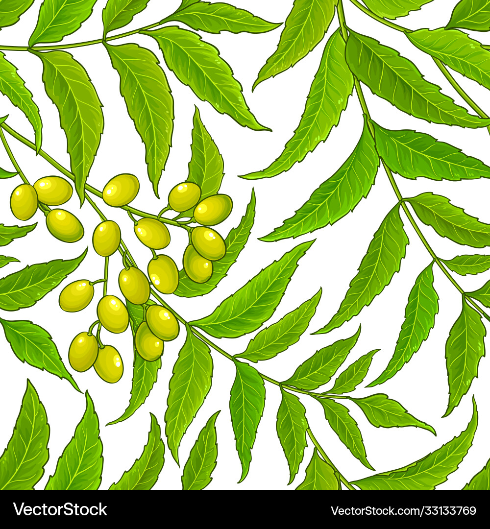 Neem branches pattern on white background Neem branches pattern on white background vector image