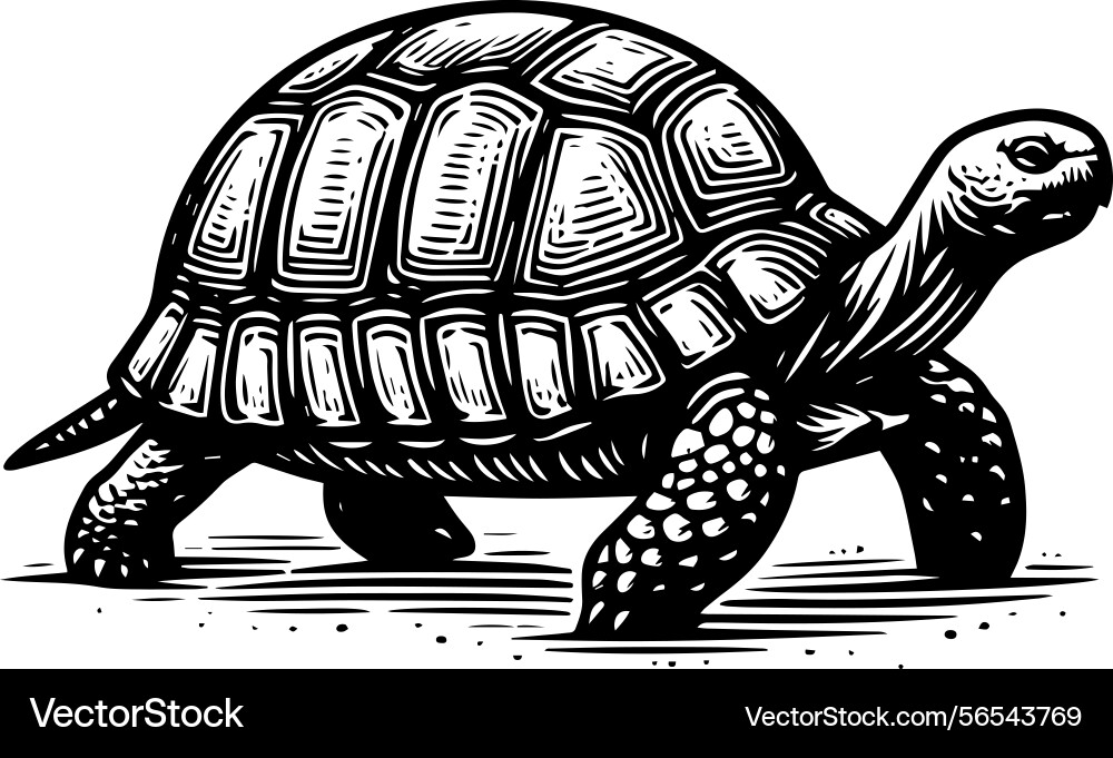 Simple gopher tortoise walking side view icon Simple gopher tortoise walking side view icon vector image