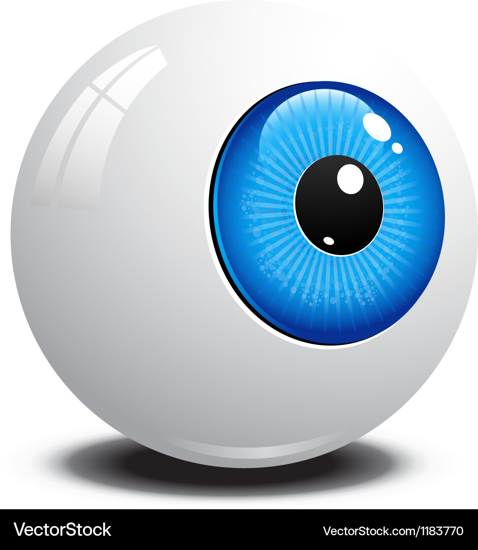 Das menschliche Auge Vektorbild