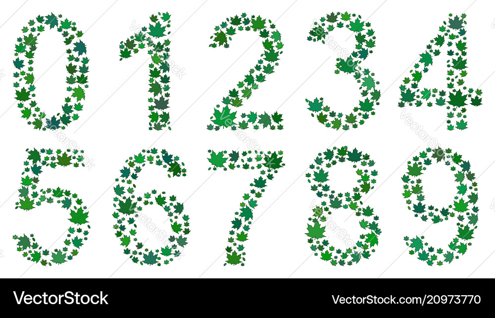 Digits consisting of leaves Digits consisting of leaves Vector Image