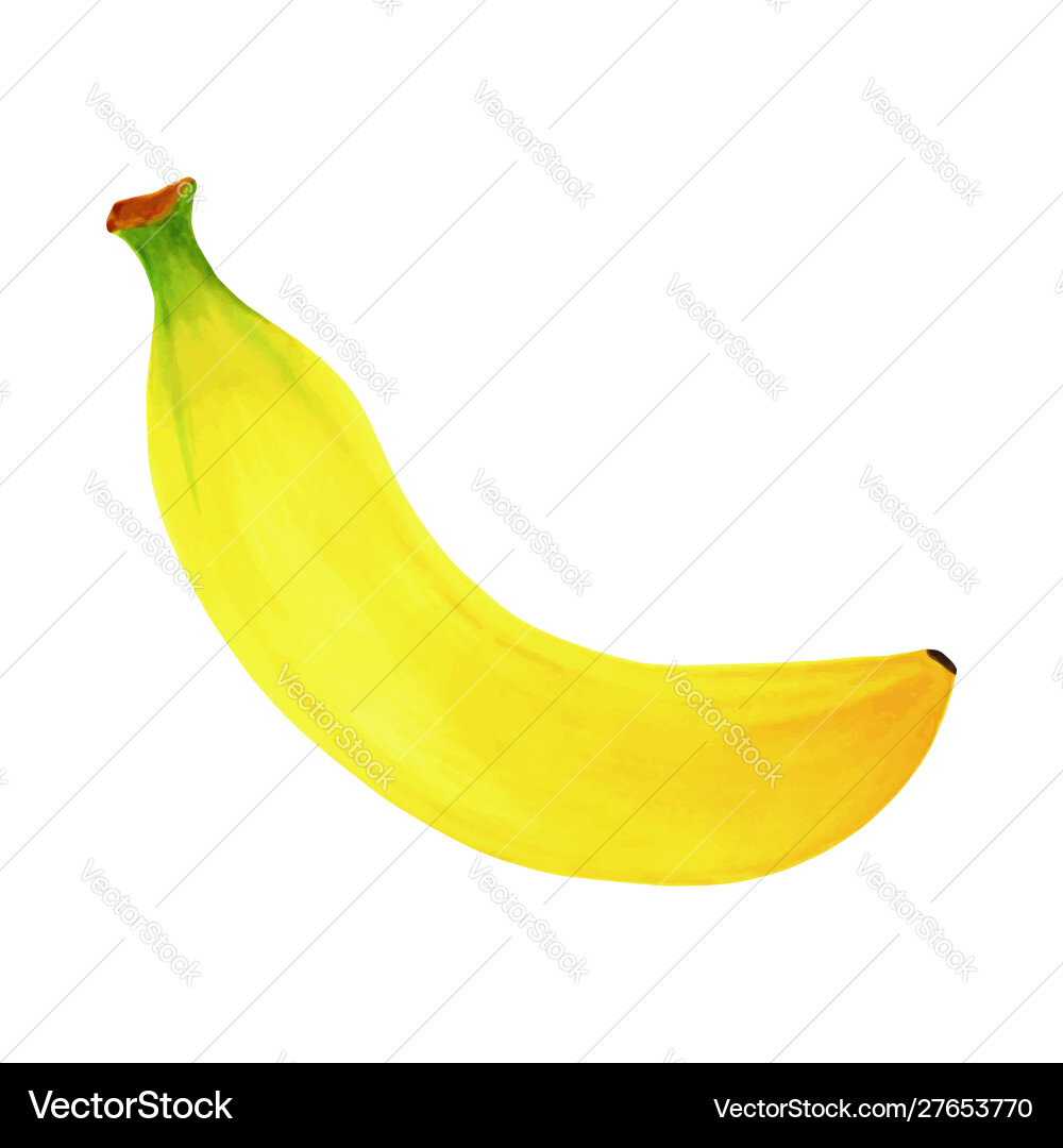 Hand drawn markers painting fruit banana on white Vector Image