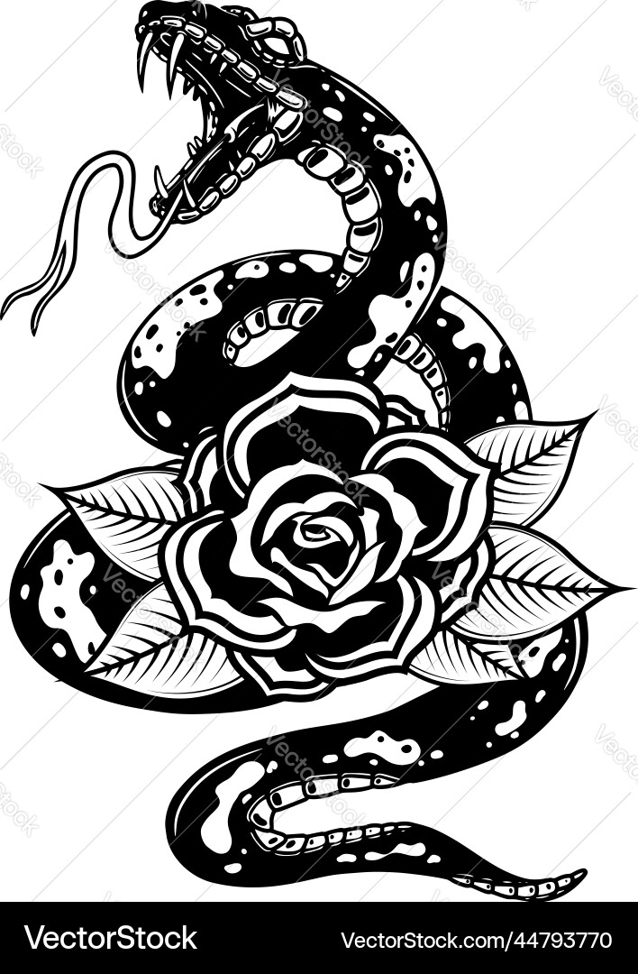 Snake on the background with roses design element Snake on the background with roses design element vector image