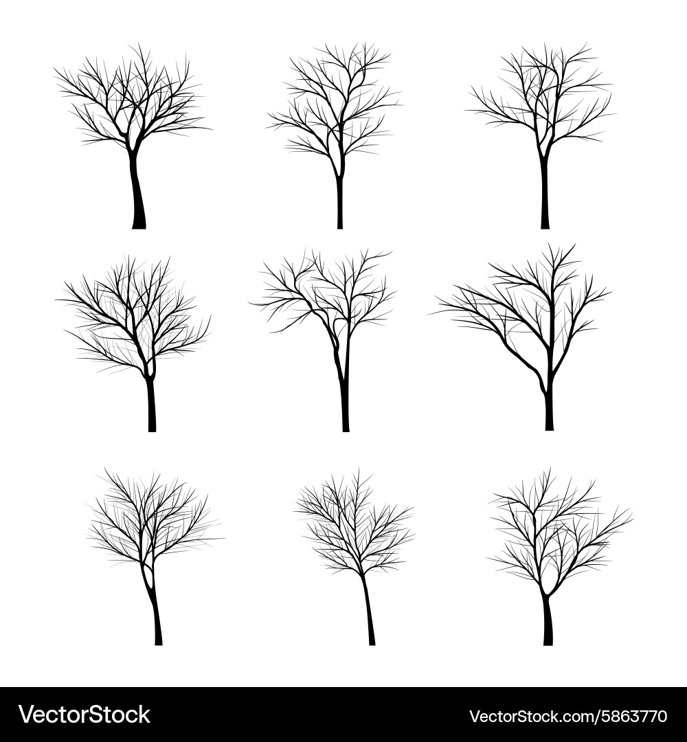 Trees with dead branch Vector Image