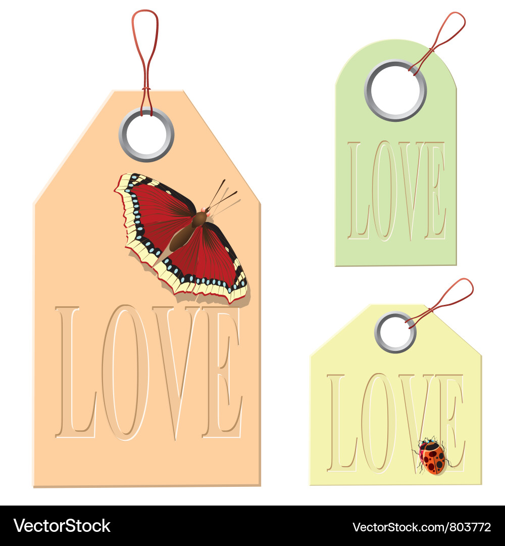 Label and design element Vector Image