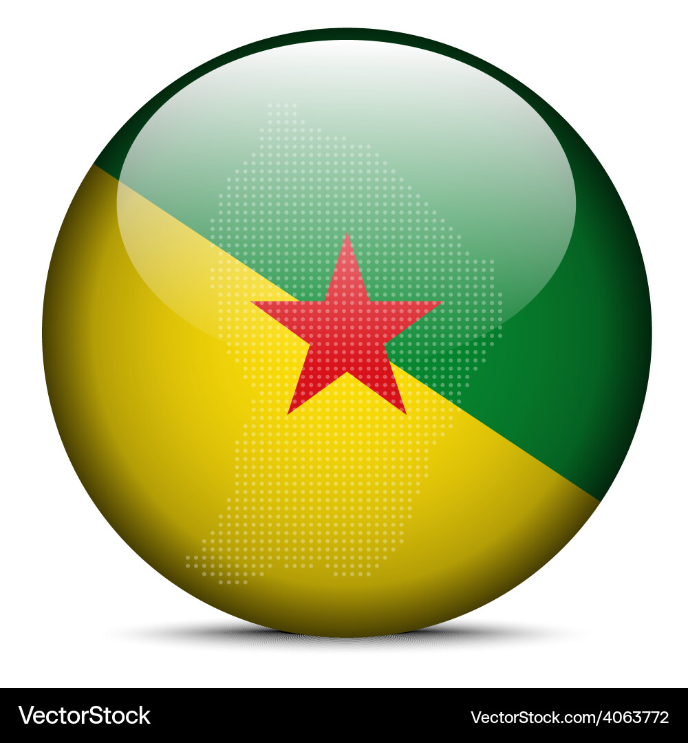 Map with dot pattern on flag button of french vector image