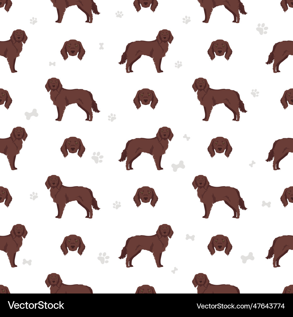German longhaired pointer seamless pattern vector image