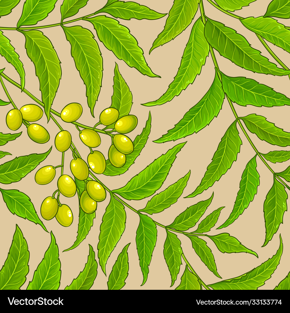 Neem branches pattern on color background Neem branches pattern on color background Vector Image