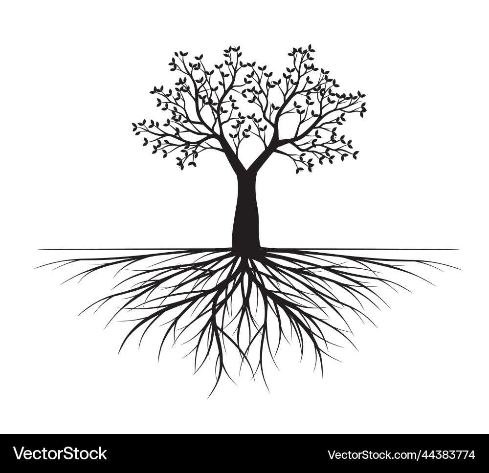 Shape of black tree with leaves and roots Vector Image