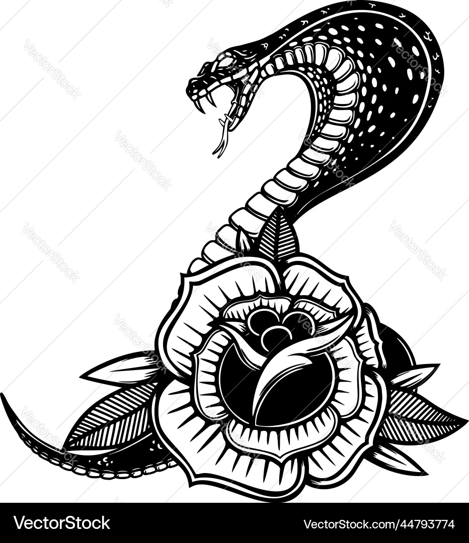Snake on the background with roses design element Snake on the background with roses design element vector image