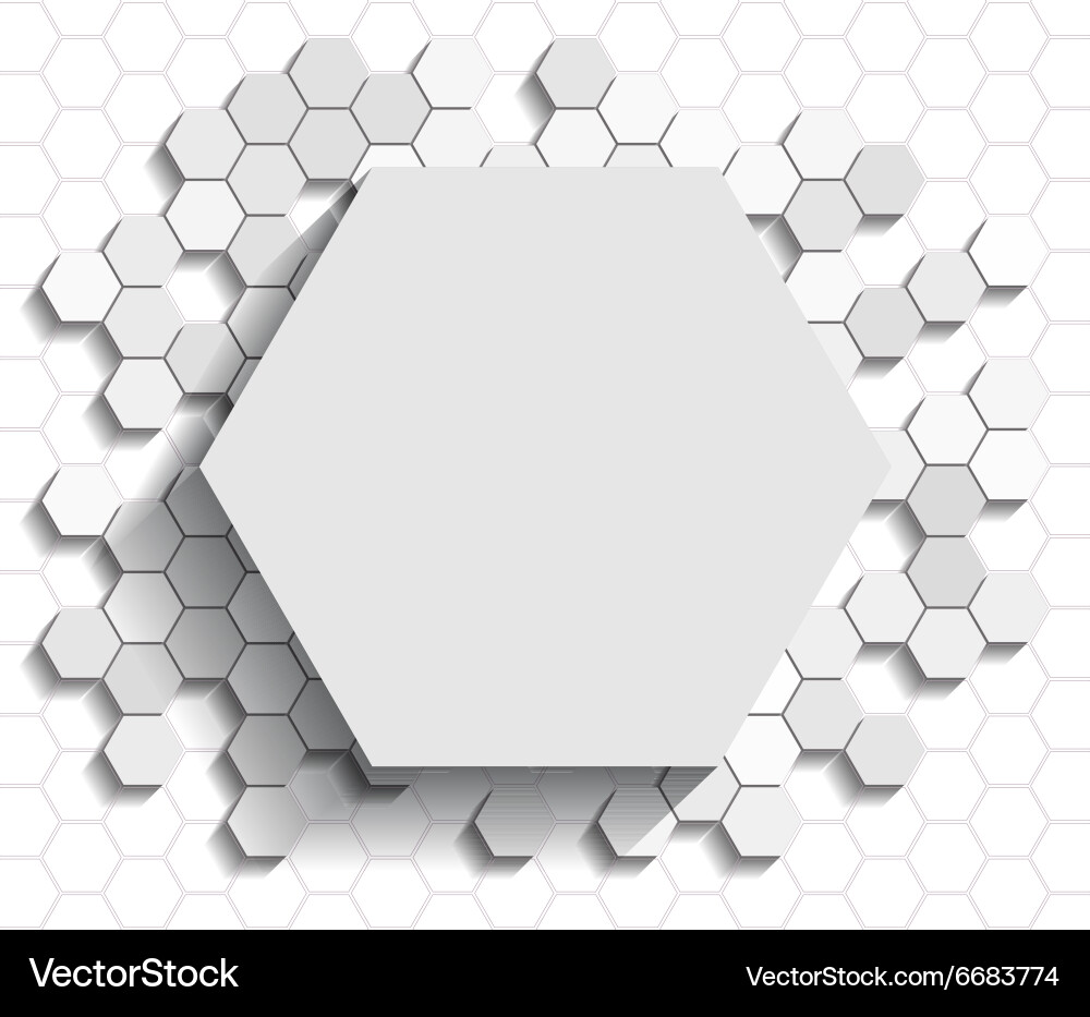 White Hexagon Pattern Background vector image