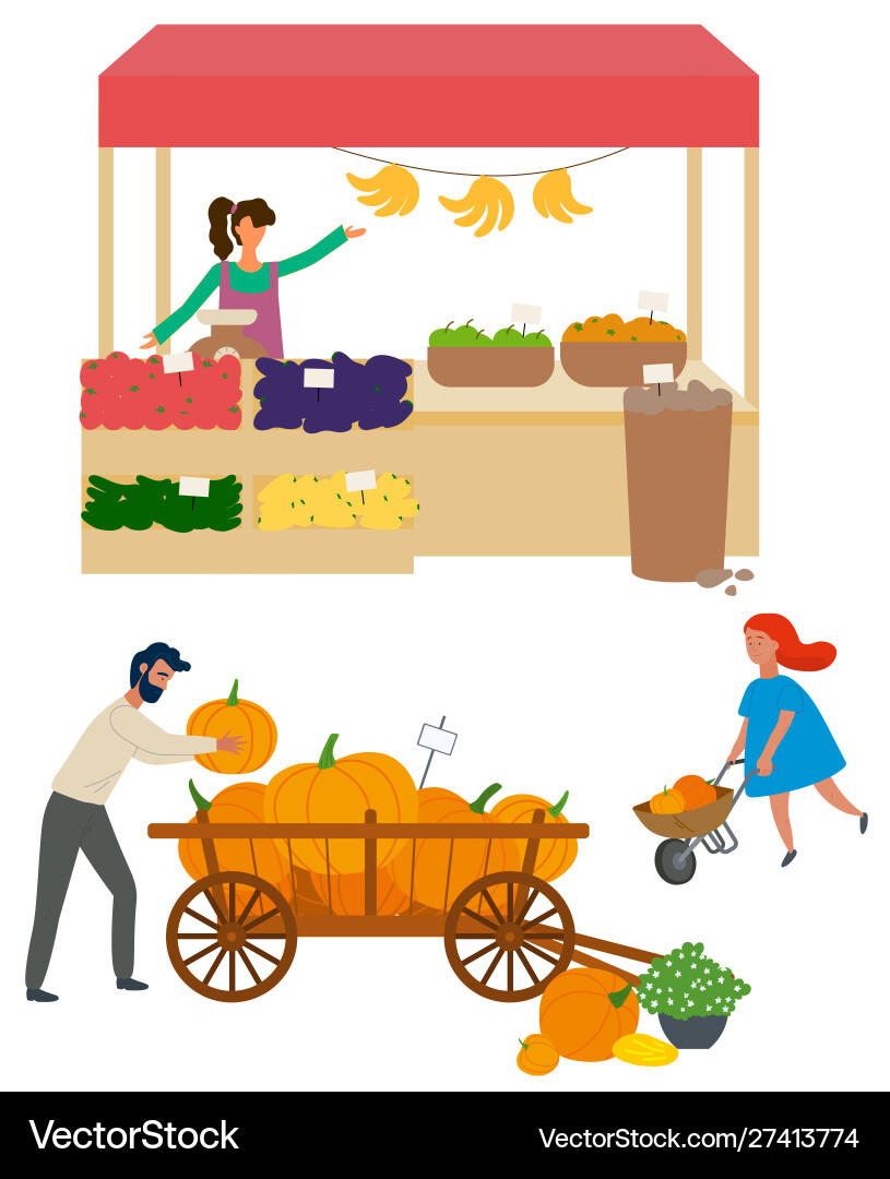 Woman selling organic products veggies market Woman selling organic products veggies market vector image