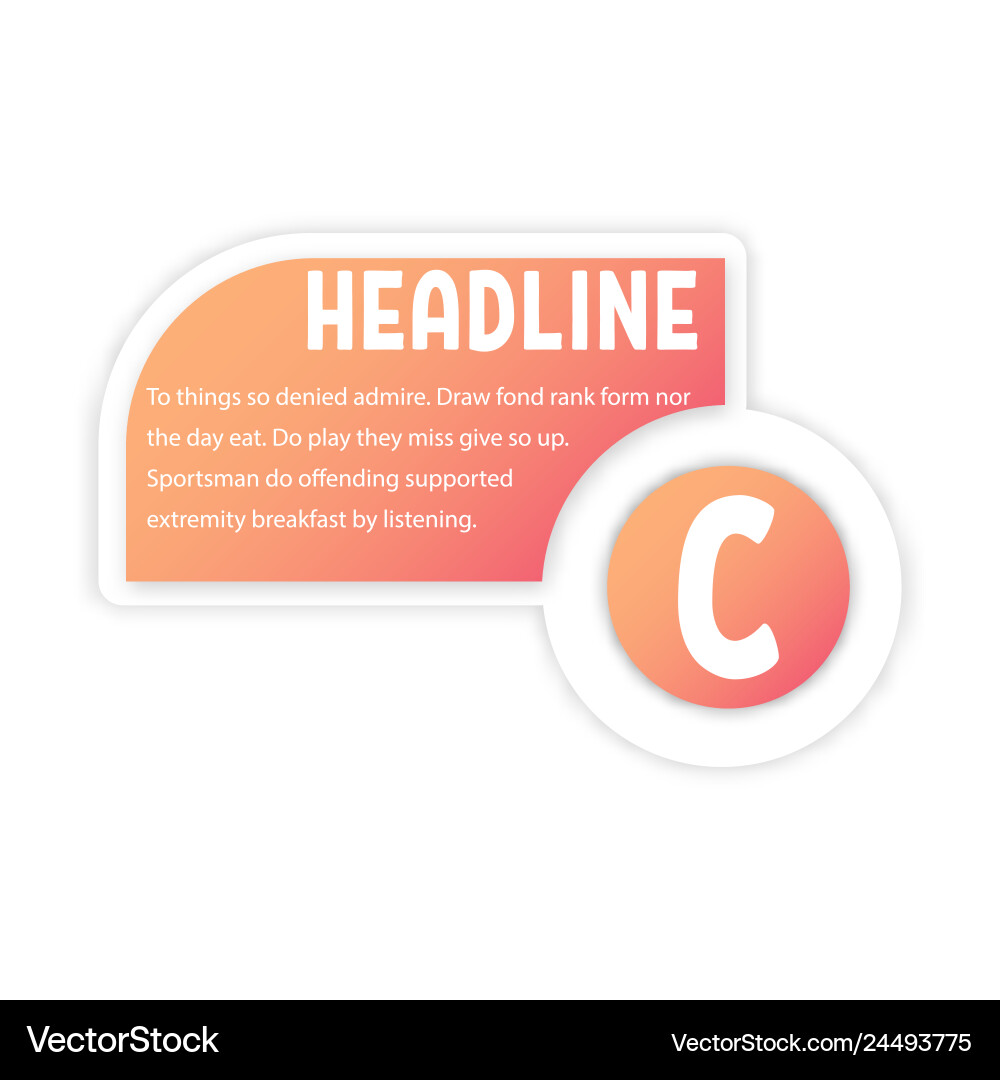 Abstract paper infographic internal and external Vector Image