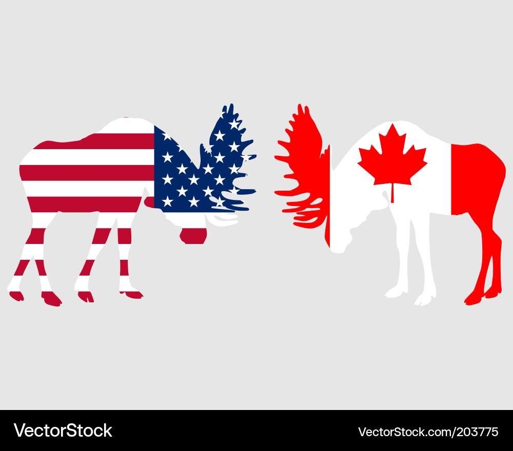Moose Battle - American & Canadian Flags vector image