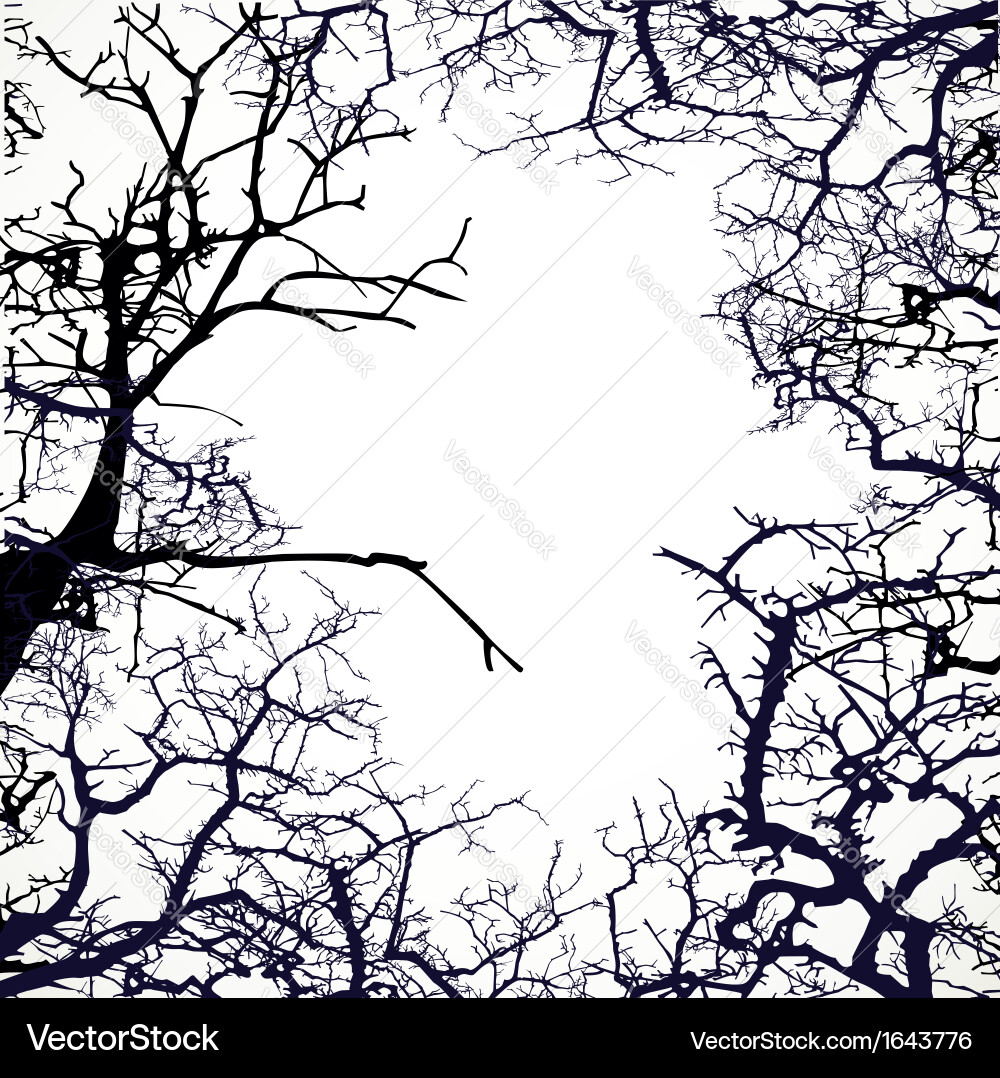 Bare Branches Silhouette Frame Vector Image