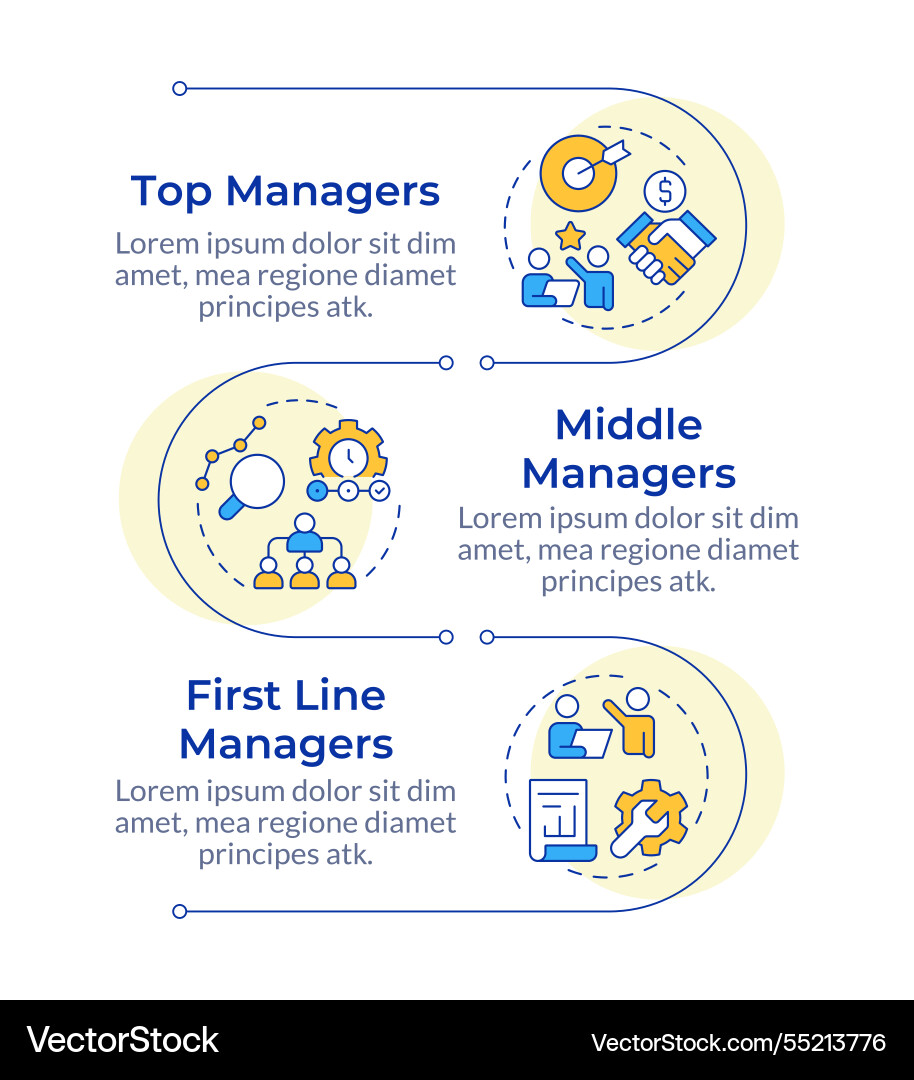 Levels of management infographic vertical sequence Levels of management infographic vertical sequence vector image