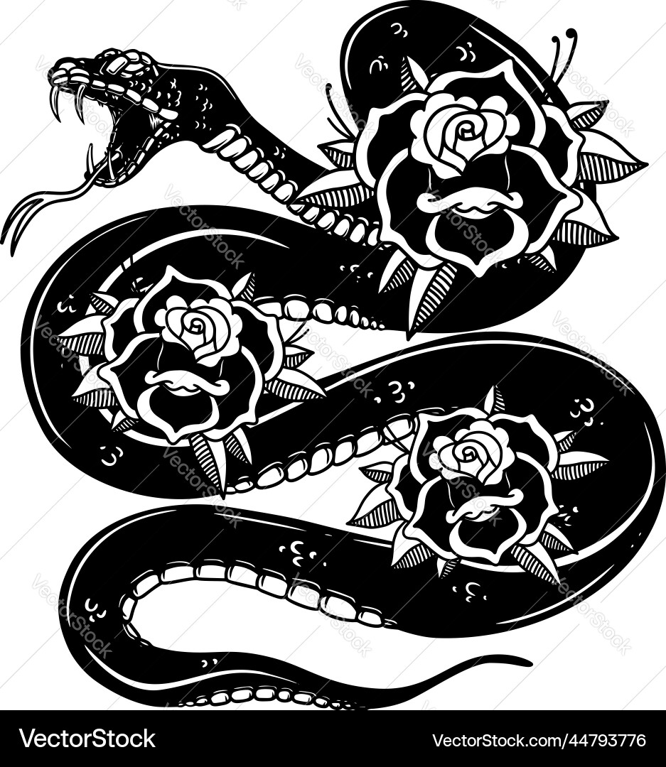 Snake on the background with roses design element Snake on the background with roses design element vector image
