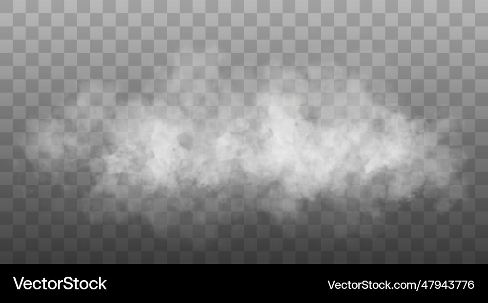 White smoke cloud isolated vector image