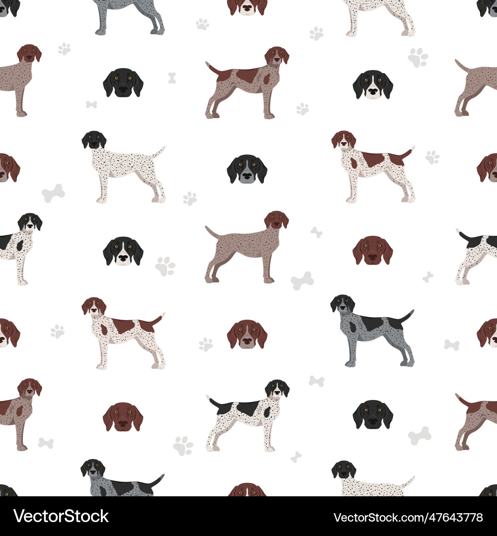 German shorthaired pointer seamless pattern German shorthaired pointer seamless pattern vector image