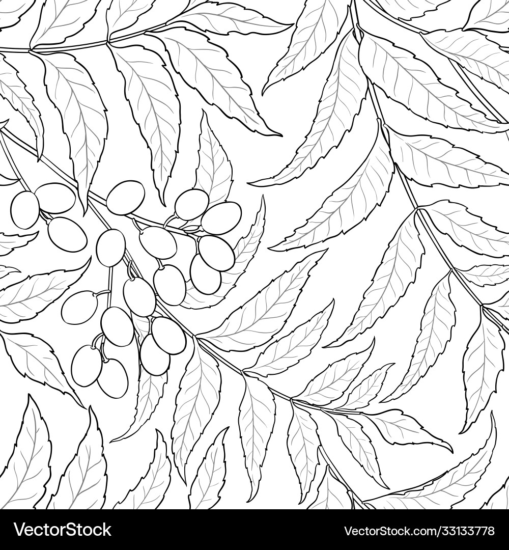 Neem Branch Pattern - Botanical Art vector image