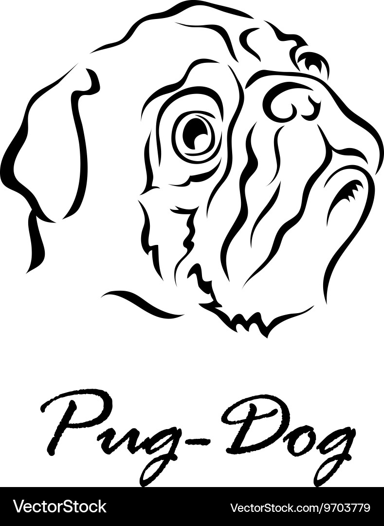 Cute Pug Dog Portrait vector image