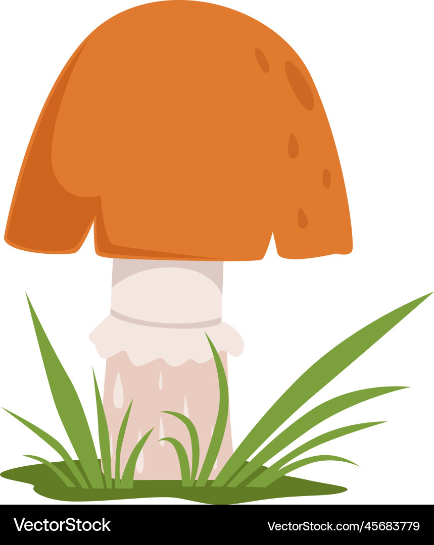 Holz Natur Element Kappe Ring Cartoon Holz Natur Element Kappe Ring Cartoon vektorbild
