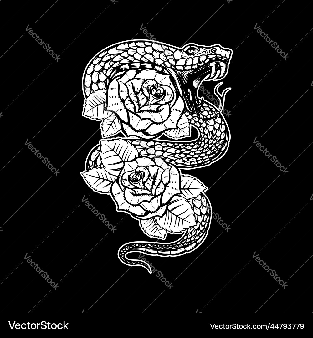 Snake on the background with roses design element Snake on the background with roses design element vector image