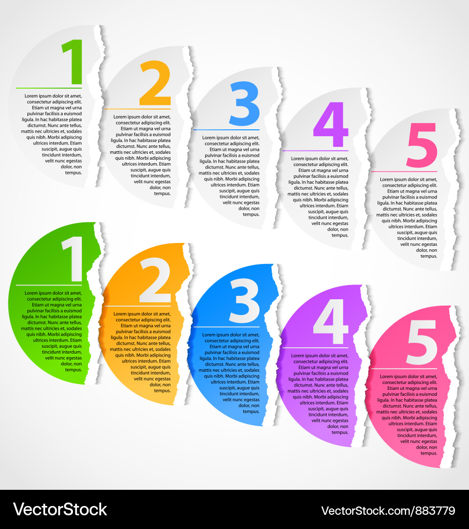 Torn paper progress option labels Vector Image
