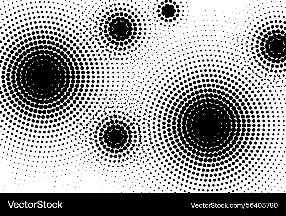 Abstract black and white dot pattern creating vector image