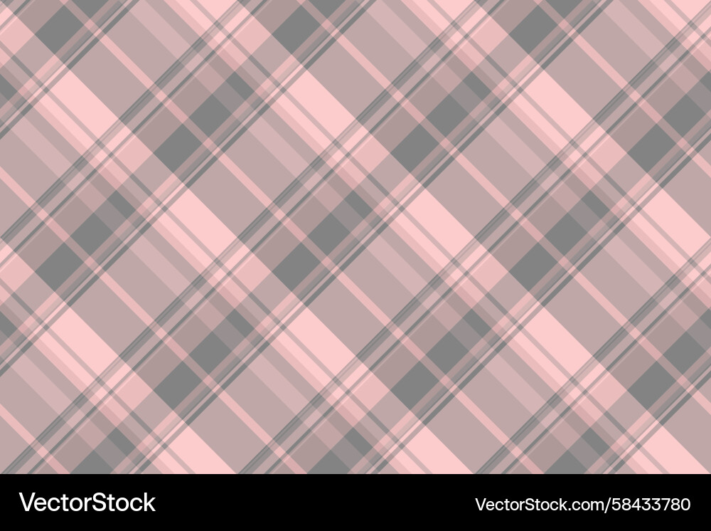 Elegant Check Pattern Background Vector Image