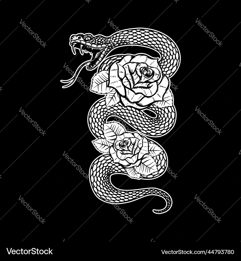 Snake on the background with roses design element vector image