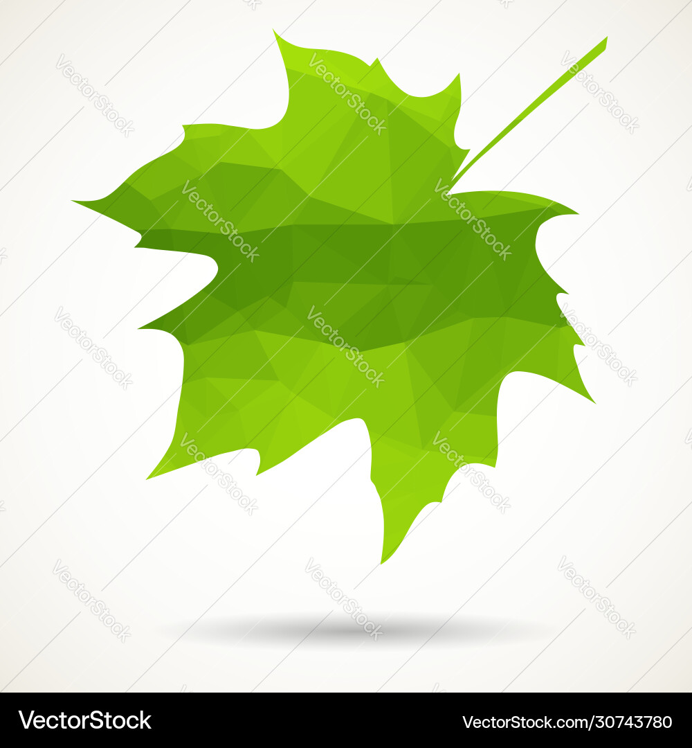 Triangular maple leaf vector image