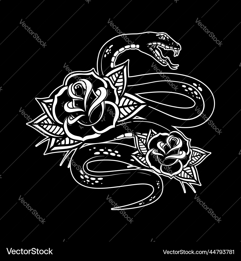 Snake on the background with roses design element Snake on the background with roses design element vector image