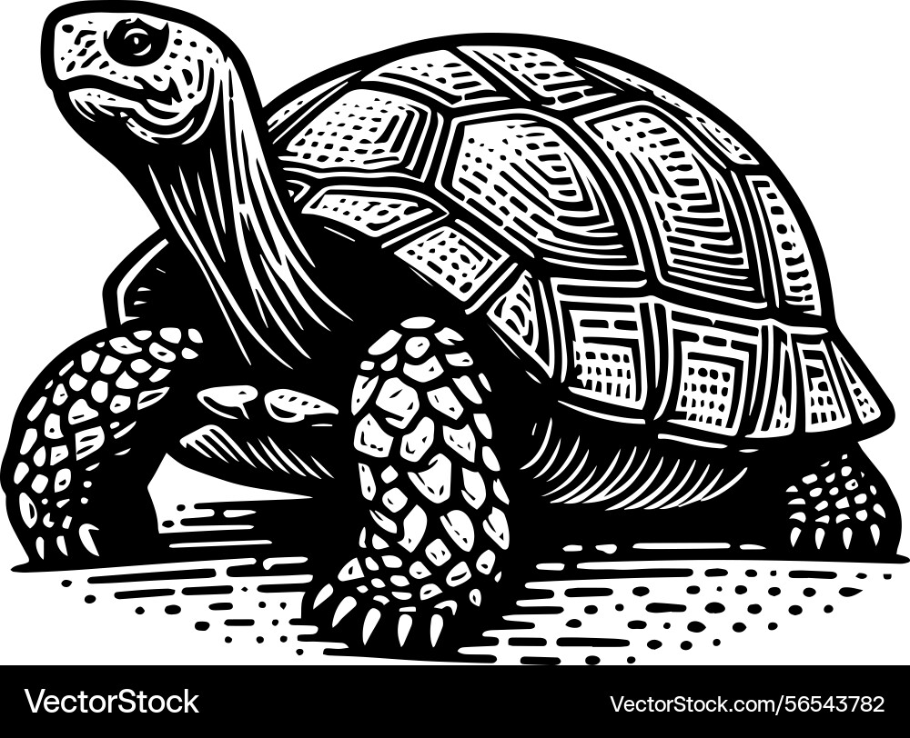 Simple gopher tortoise side view icon vintage Simple gopher tortoise side view icon vintage vector image