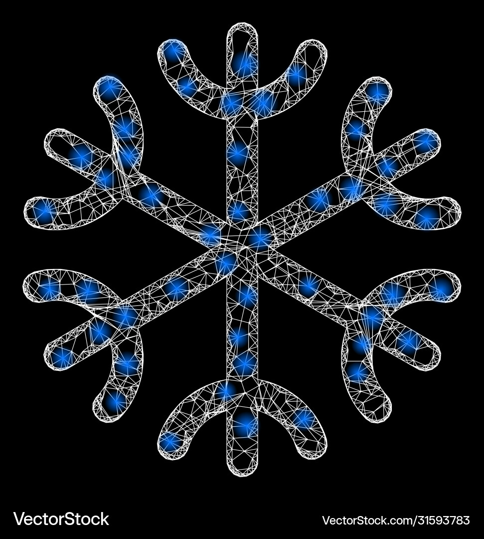 Bright web net snowflake with lightspots Bright web net snowflake with lightspots Vector Image