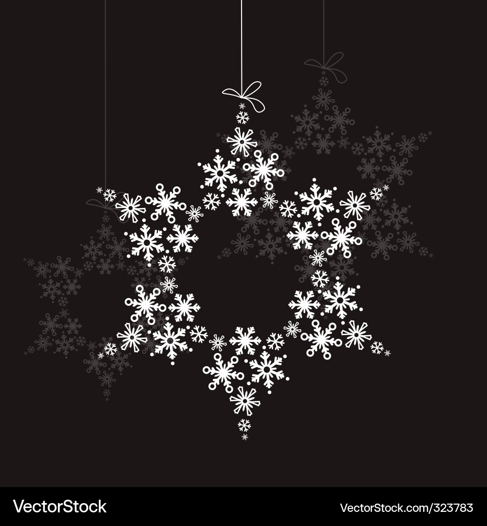 Elegant Snowflake Ornament Vector Image