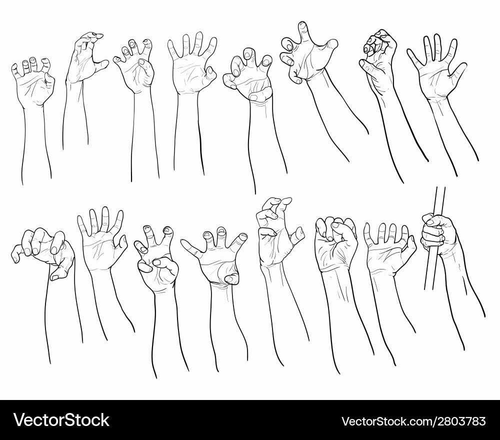 Set of hands in many gesture vector image