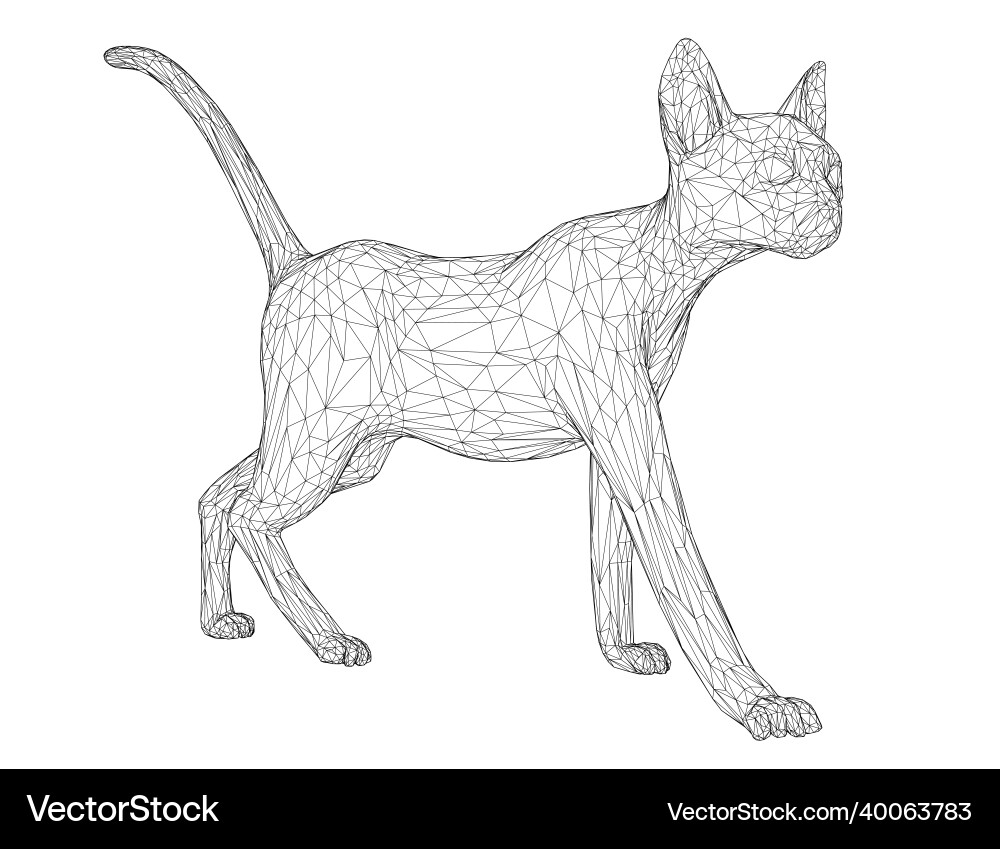 Wireframe of a walking cat from black lines Wireframe of a walking cat from black lines vector image