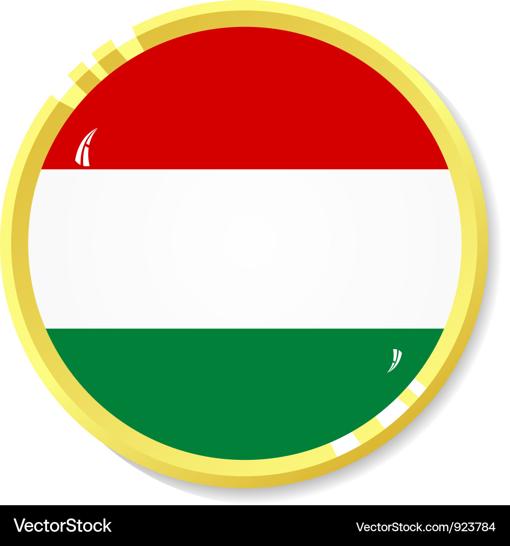 Button with flag hungary Vector Image