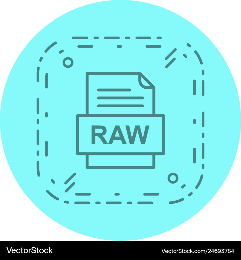 Raw file document icon Vector Image