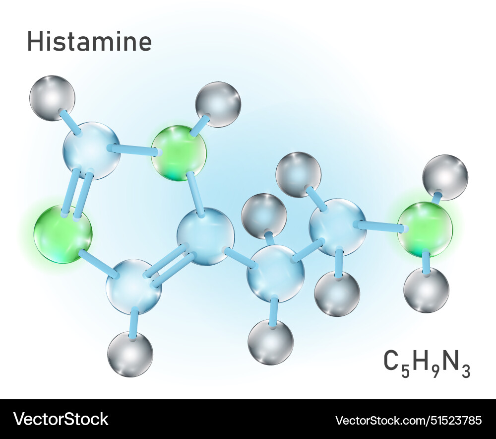 Histamine molecule structure in transparent 3d Histamine molecule structure in transparent 3d vector image