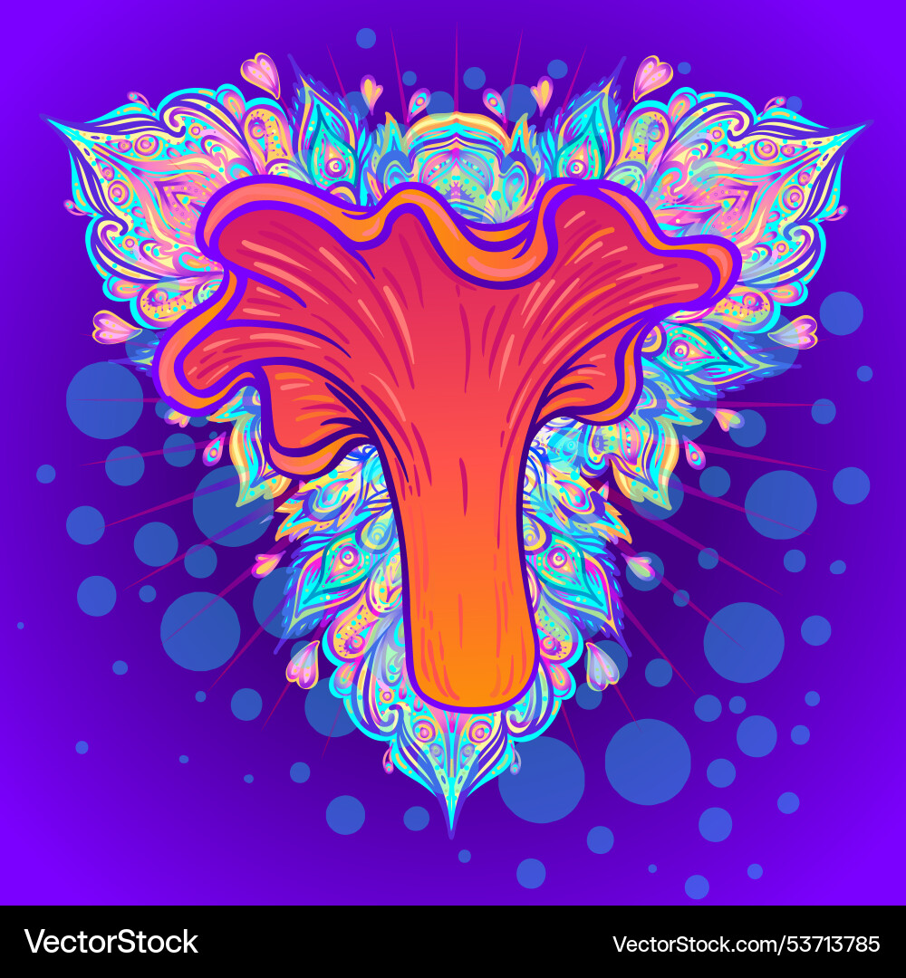 Magic mushrooms mandala psychedelic hallucination Vector Image