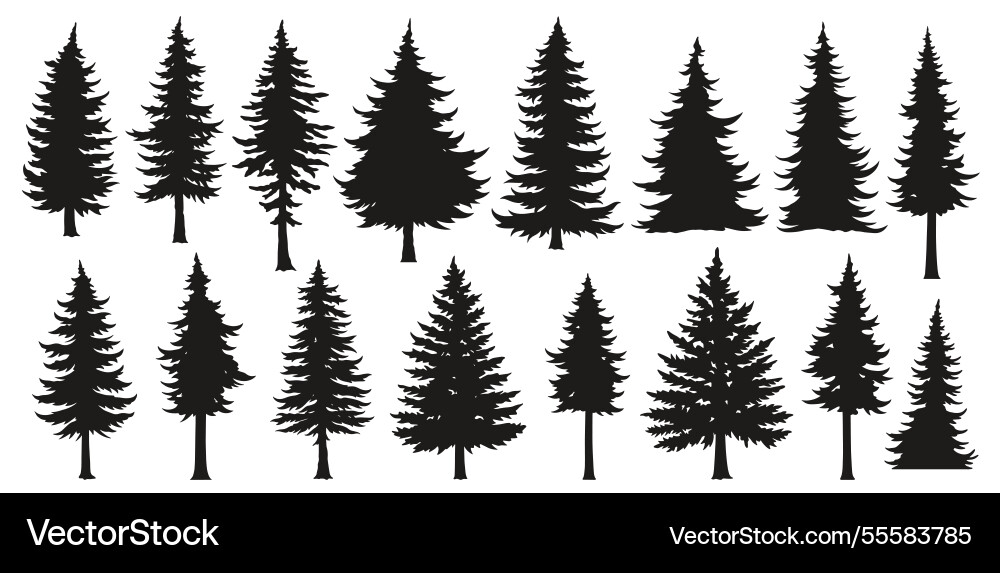 Pine Tree Silhouettes Collection Vector Image