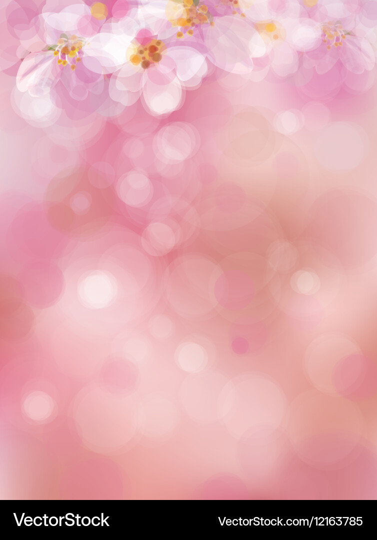 Sakura Spring Bokeh vector image
