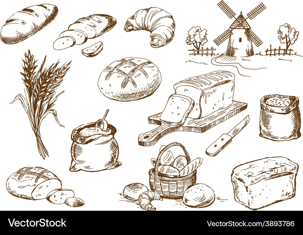 Bread set Royalty Free Vector Image - VectorStock