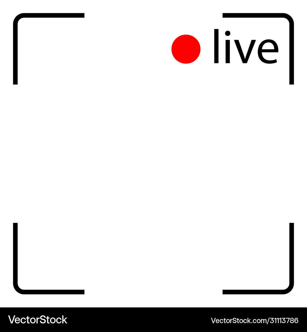 Camera screen showing recording is in progress Camera screen showing recording is in progress Vector Image